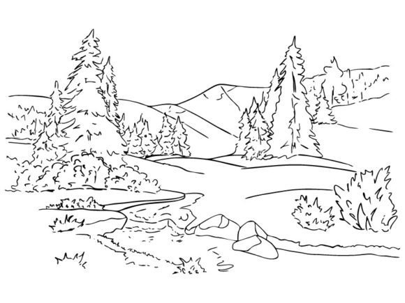 Forest and Christmas Trees Illustrations Review